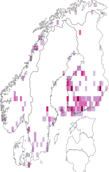 Fyndkarta för vinbärsknoppmal. Datakälla: GBIF