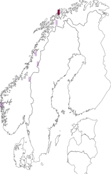 Fyndkarta för Arthonia peltigerea. Datakälla: GBIF