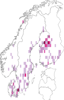 Fyndkarta för rovstekellik glasvinge. Datakälla: GBIF