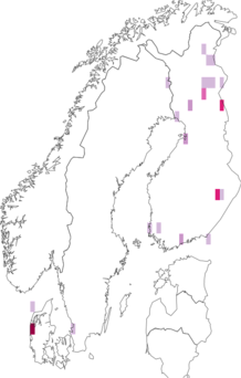 Fyndkarta för dimorf mossmal. Datakälla: GBIF