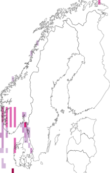 Fyndkarta för vitlinglyra. Datakälla: GBIF