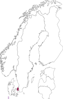 Fyndkarta för Turbanellidae. Datakälla: GBIF
