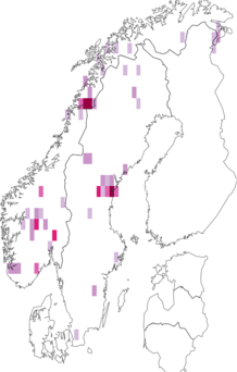 Fyndkarta för Semljicola. Datakälla: GBIF
