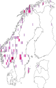 Fyndkarta för Mycobilimbia tetramera. Datakälla: GBIF