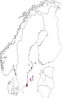 Fyndkarta för grå vitspetsgräsminerarmal. Datakälla: GBIF