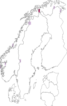 Fyndkarta för Catillaria contristans. Datakälla: GBIF
