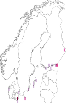 Fyndkarta för trapetstecknat jordfly. Datakälla: GBIF