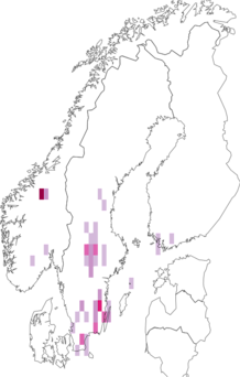 Fyndkarta för Ribautodelphax. Datakälla: GBIF