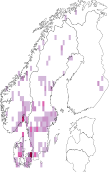 Fyndkarta för Hohenbuehelia. Datakälla: GBIF