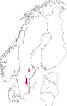 Fyndkarta för dvärgflickslända. Datakälla: GBIF