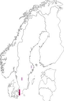 Fyndkarta för Otiorhynchus smreczynskii. Datakälla: GBIF
