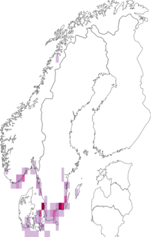 Kaarta Rubus radula. Data source: GBIF