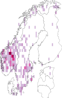 Kaarta Ramalina pollinaria. Data source: GBIF