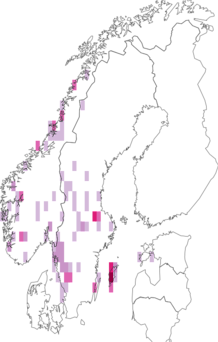 Fyndkarta för Normandina acroglypta. Datakälla: GBIF
