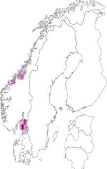 Fyndkarta för sjöpennor. Datakälla: GBIF