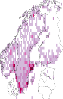 Fyndkarta för Chrysomelini. Datakälla: GBIF