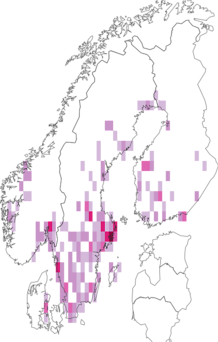 Fyndkarta för Galerucella lineola. Datakälla: GBIF