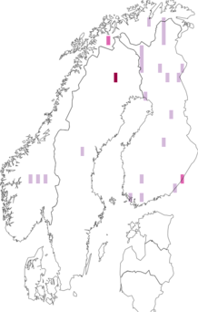 Fyndkarta för Grammotaulius signatipennis. Datakälla: GBIF