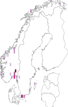 Fyndkarta för Hypogastrura purpurescens. Datakälla: GBIF