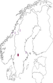 Fyndkarta för Bachmanniomyces uncialicola. Datakälla: GBIF