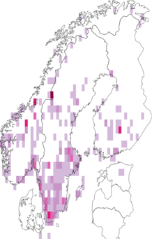 Fyndkarta för Cychrini. Datakälla: GBIF