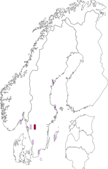 Fyndkarta för Thelaira solivaga. Datakälla: GBIF