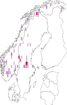 Fyndkarta för nordlig blodlav. Datakälla: GBIF
