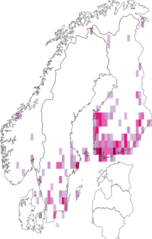 Fyndkarta för gråfläcksikelvecklare. Datakälla: GBIF