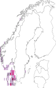 Fyndkarta för Bryopsidophyceae. Datakälla: GBIF