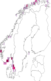 Fyndkarta för Ischnochiton. Datakälla: GBIF