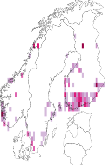 Fyndkarta för spetspunktgräsminerarmal. Datakälla: GBIF