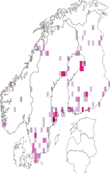 Fyndkarta för skräppeblomfluga. Datakälla: GBIF