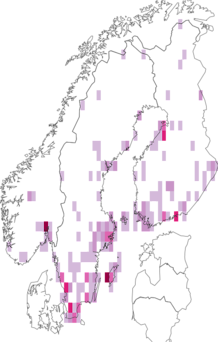 Fyndkarta för stäppblomflugor. Datakälla: GBIF