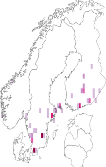 Kaarta Cheilosia fraterna. Data source: GBIF