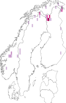 Fyndkarta för nordligt ugglemott. Datakälla: GBIF
