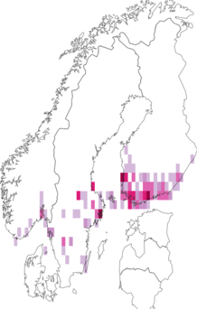 Kaarta Depressaria olerella. Data source: GBIF