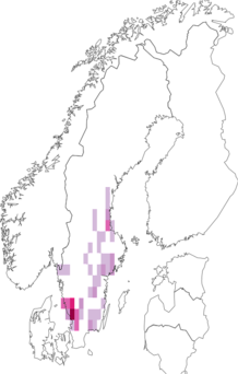Fyndkarta för Setodes. Datakälla: GBIF