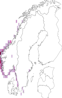 Fyndkarta för västlig brosklav. Datakälla: GBIF