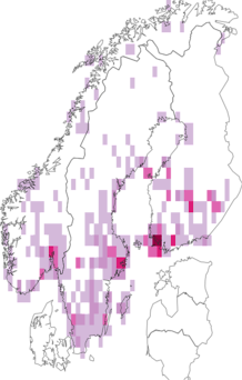 Fyndkarta för Rhyparochrominae. Datakälla: GBIF