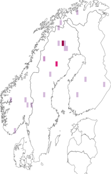 Fyndkarta för nordgrynna. Datakälla: GBIF