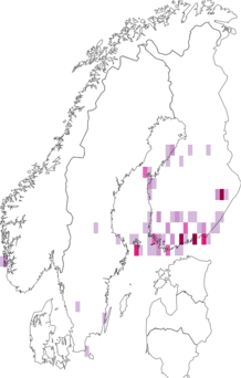 Fyndkarta för palsternackborrvecklare. Datakälla: GBIF