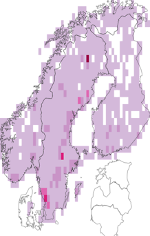 Fyndkarta för nattsländor. Datakälla: GBIF