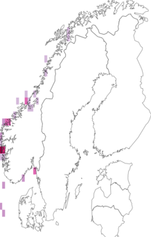 Fyndkarta för Aporrhais serresianus. Datakälla: GBIF