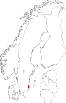 Kaarta Oxalis articulata. Data source: GBIF