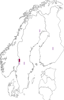Fyndkarta för Arthothelium scandinavicum. Datakälla: GBIF