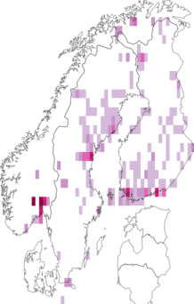 Fyndkarta för Platypalpus. Datakälla: GBIF