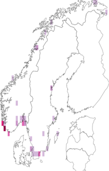 Fyndkarta för Silometopus. Datakälla: GBIF