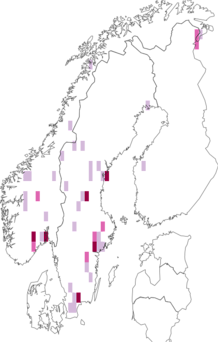 Fyndkarta för skogsvargspindel. Datakälla: GBIF