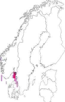 Fyndkarta för lysräkor, krill. Datakälla: GBIF