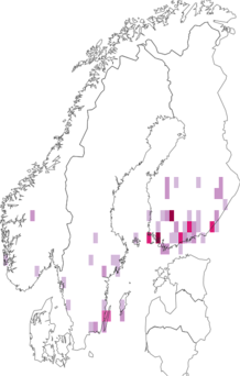 Fyndkarta för svartstreckad rotvecklare. Datakälla: GBIF